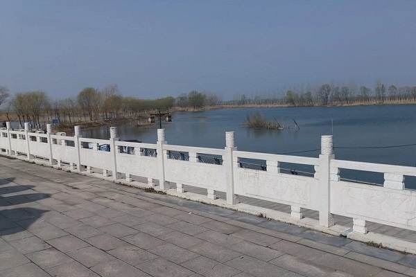 大连河道石栏杆来图定制 案例六